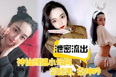 泄密流出神仙颜值小母狗会舔吊会呻吟无套插入后艹爽了便是臣服