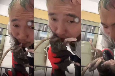 劲爆给老鼠口交什么奇葩性趣