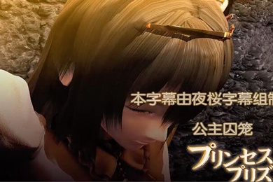中文字幕公主的囚笼