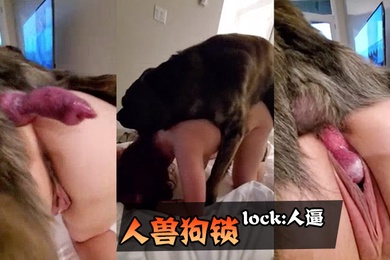 人兽狗锁lock人逼人妻