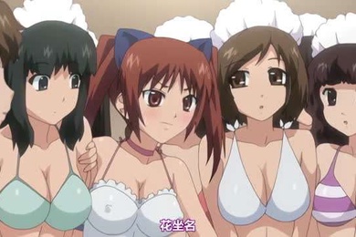 中文字幕花粉少女注意报3