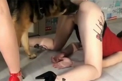 姐姐教唆狗狗操自己的妹妹